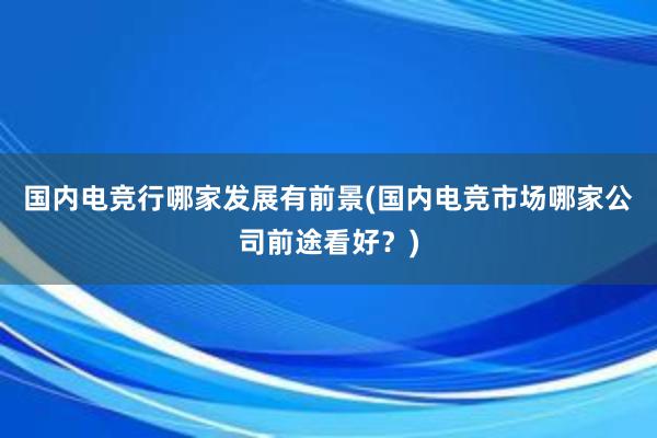 国内电竞行哪家发展有前景(国内电竞市场哪家公司前途看好？)