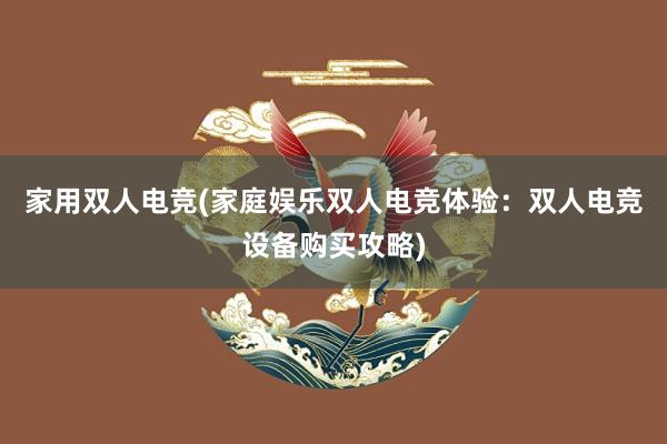 家用双人电竞(家庭娱乐双人电竞体验：双人电竞设备购买攻略)