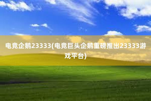 电竞企鹅23333(电竞巨头企鹅重磅推出23333游戏平台)