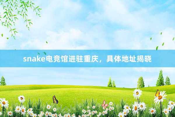 snake电竞馆进驻重庆，具体地址揭晓