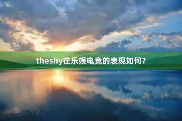 theshy在乐娱电竞的表现如何？