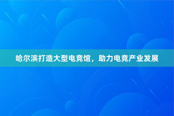 哈尔滨打造大型电竞馆，助力电竞产业发展