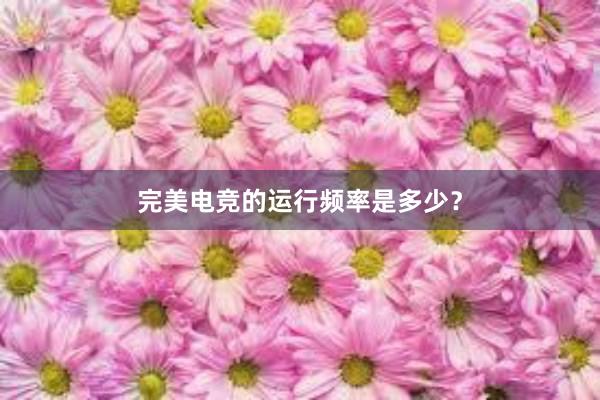 完美电竞的运行频率是多少？