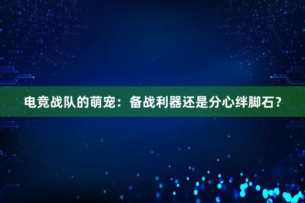 电竞战队的萌宠：备战利器还是分心绊脚石？