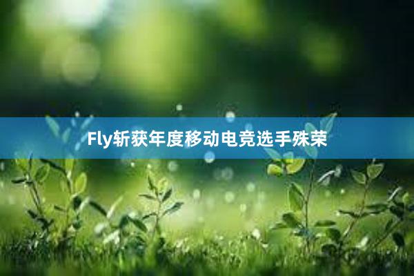 Fly斩获年度移动电竞选手殊荣