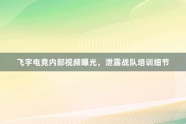 飞宇电竞内部视频曝光，泄露战队培训细节